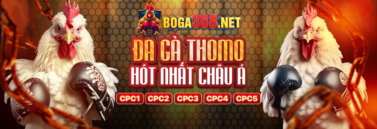 Hình ảnh người chơi ăn mừng chiến thắng, tượng trưng cho thành công khi tham gia mcw77 hiện đang mở.
